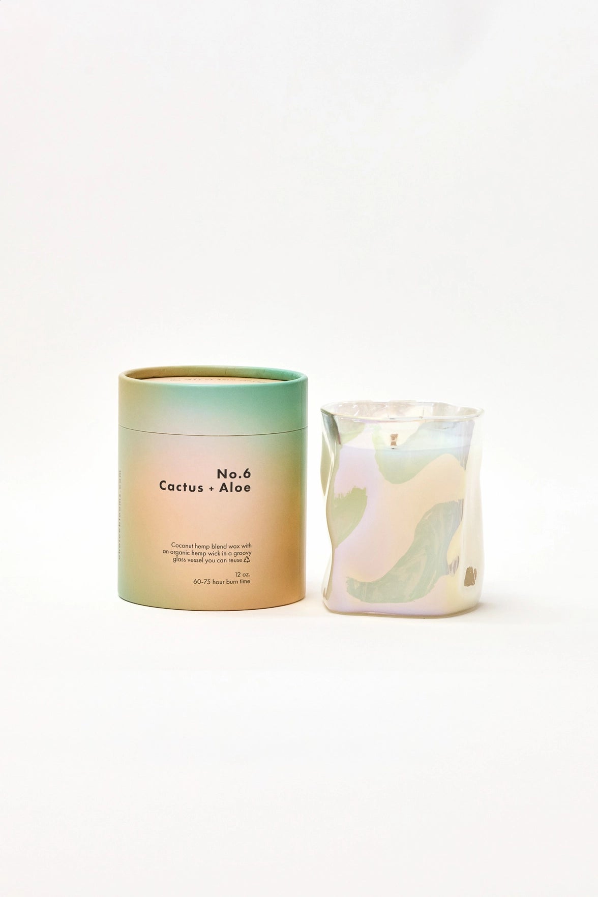 Choice Blooms 12oz. No. 6 Cactus + Aloe Candle